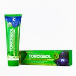 Torcigeol