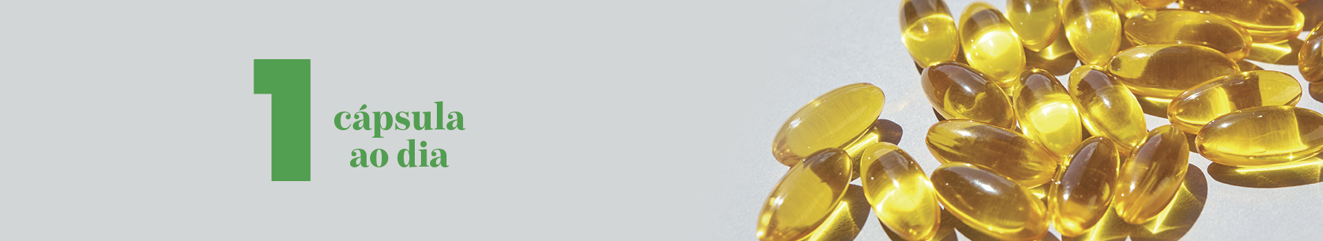 banner 2